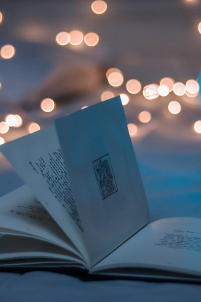 美剧《星期三》海报，女主角星期三·亚当斯在Nevermore学院的诡异造型